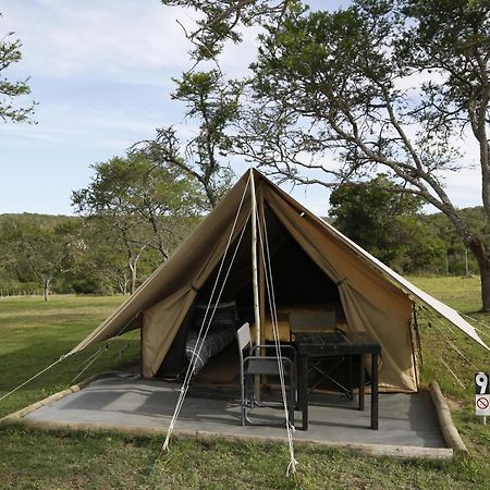 Horseshoe Game Reserve イースト・ロンドン エクステリア 写真