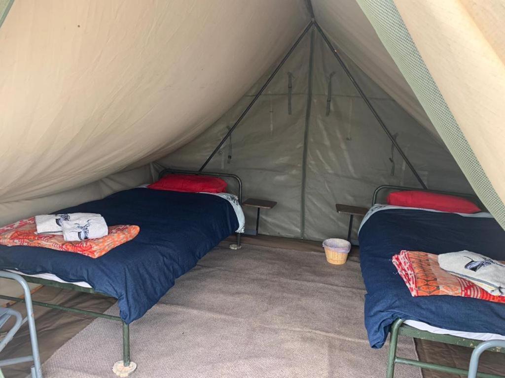 Horseshoe Game Reserve イースト・ロンドン エクステリア 写真